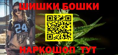 гидра Камень-на-Оби