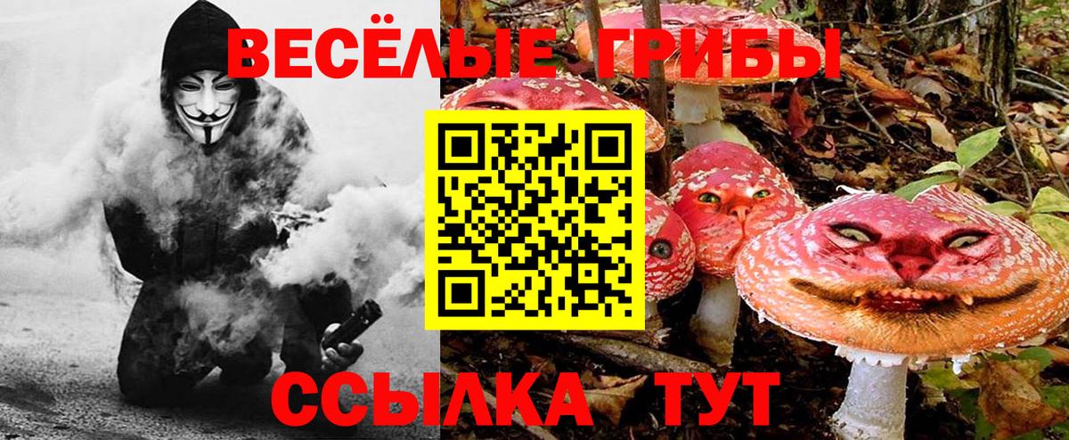 Галлюциногенные грибы GOLDEN TEACHER Богданович